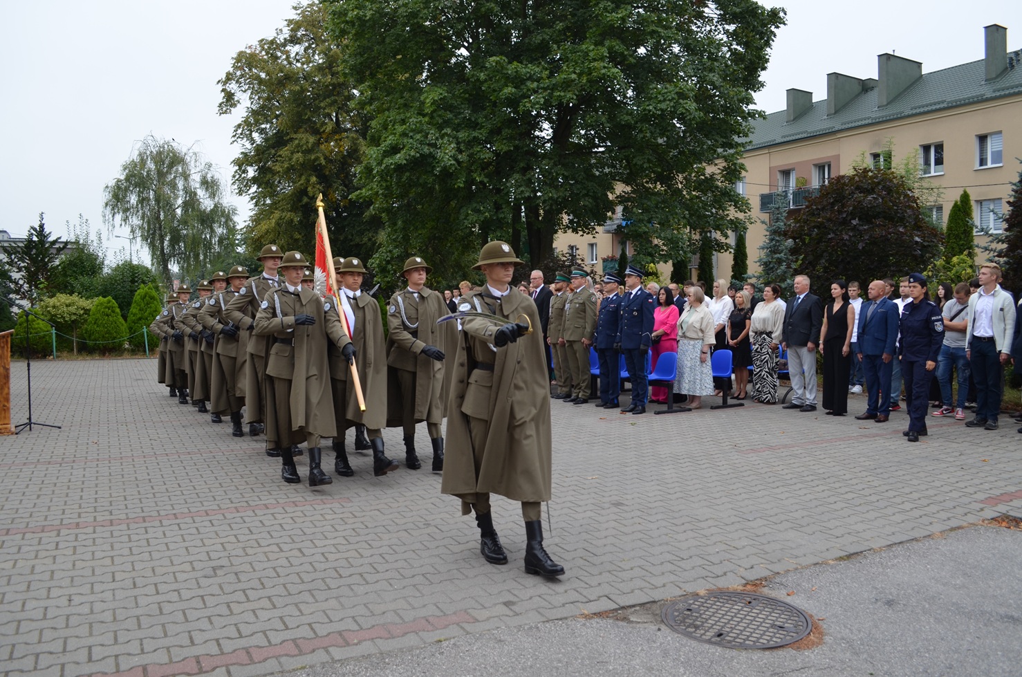 syt5.jpg